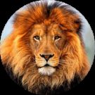 Lord Fuller Avatar